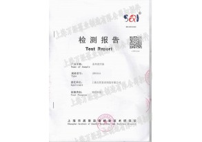 水環(huán)式真空泵檢測報告